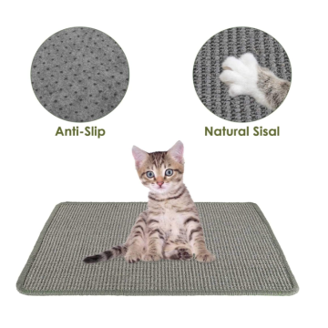 Cat bermain scratch pad tidur