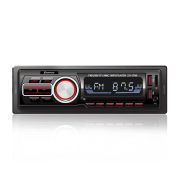 car Entertainment Multimedia System