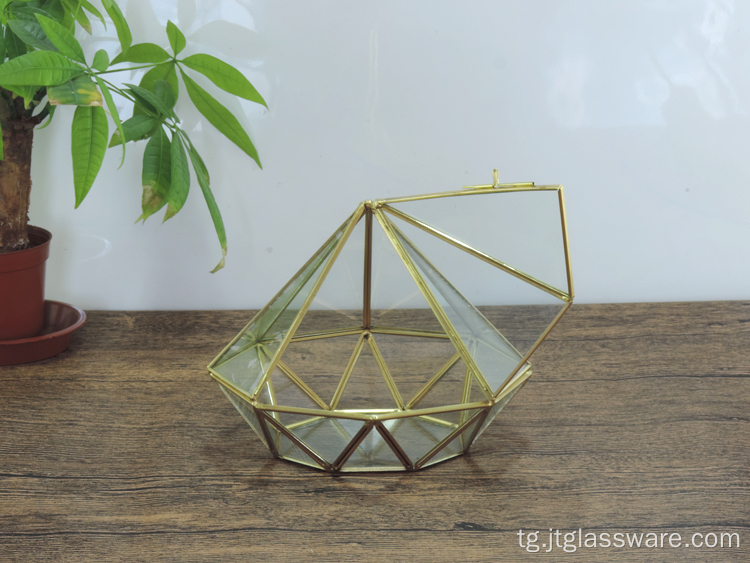 Ороиши боғи махсуси хонагӣ геометрии Terrarium Glass