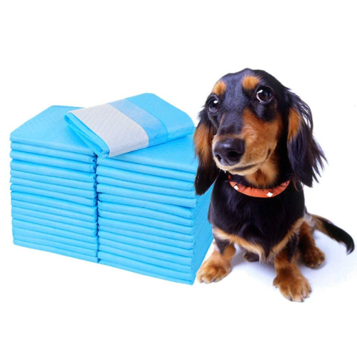 Dogs Pee Pad for Potty Training