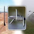 PVC-beschichtetes galvanisiertes Kettenglied Barbed Wire