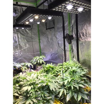 Flashsale AGLEX Indoor grow light Hydroponic ir 800w