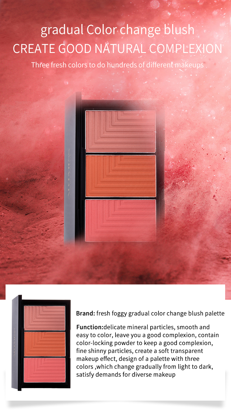 Makeup Shimmer Beauty Packaging Single Empty Blush Palette