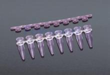 PCR Tubes