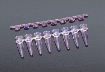 PCR Tubes