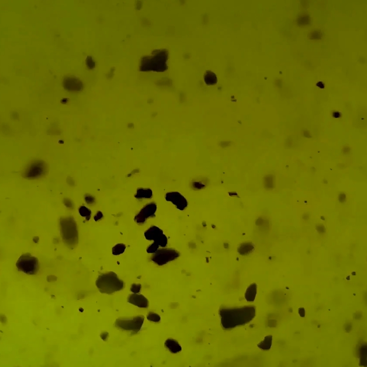 Redox processes in underwater sludge Redox processes in underwater sludge