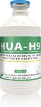 Avian Influenza (Subtype H9) Vaccine, Inactivated (Strain NJ01)