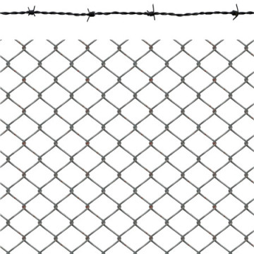 Electric Gal Diamond chian link wire mesh/wire fencing