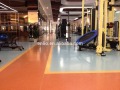 Piso de rollos de PVC para gimnasio