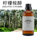 Huile d&#39;eucalyptus citronnée en gros à 99% en prix de gros