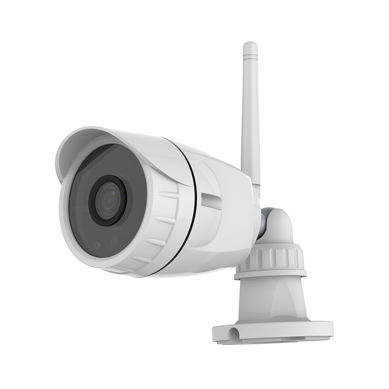 gözetim videosu surveillance video