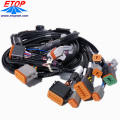 UL Automotive Waterproof Cable Harness Assembly