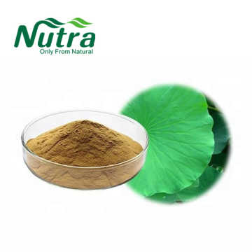 Fresh Lotus Leaf Extract Powder