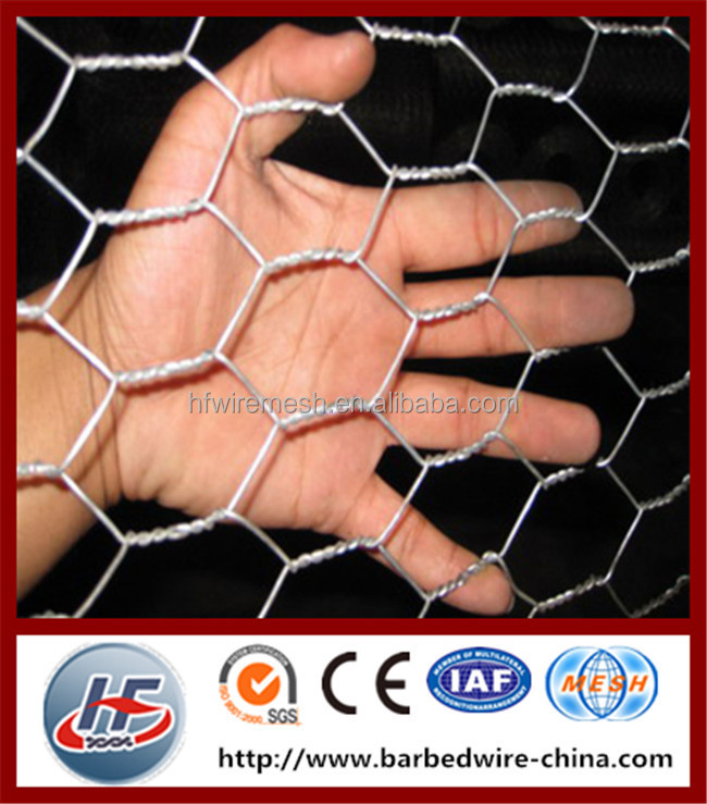 hexagon wire netting,chicken mesh,electro galvanized after weaving hexagonal wire netting