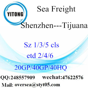 Shenzhen Port Sea Freight Shipping para Tijuana