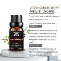 100% Pure Organic Litsea Cubeba Berry Oil Essential Oil