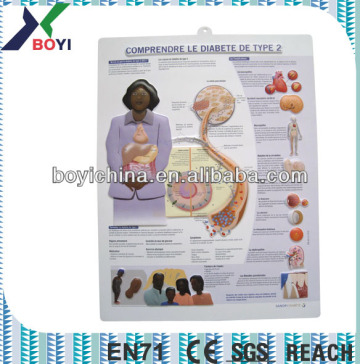 teaching wall chart top selling