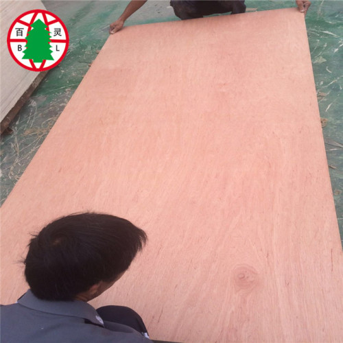 12MM Okoume Veneer BBCC Plywood for selling