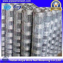 Galvanized Iron Knotted Wire Mesh Field Fence (anjia-524)
