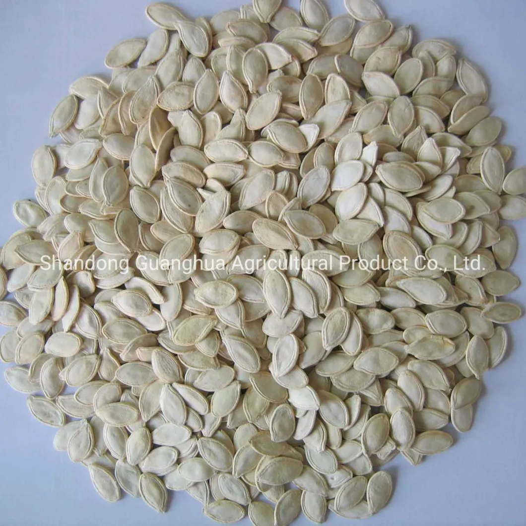 EU Top Quality Shine Skin Pumpkin Seeds From Tianjin