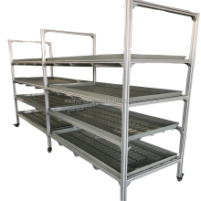 Microgreen System: Plant Growing Rack for Efficient Vegetable Cultivation