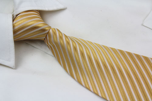 Men's 100% Woven Polyester Neckties