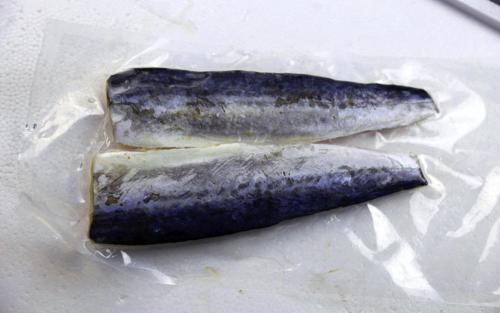 Frozen Spanish Mackerel Fillet