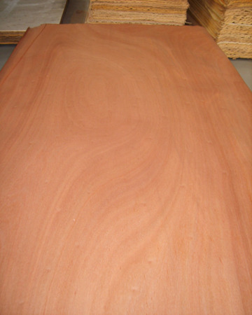 Sapele veneer with 0.35mm