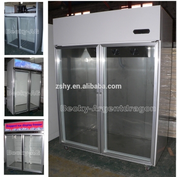 CE approved ice merchandiser to store & display bagged ice indoor