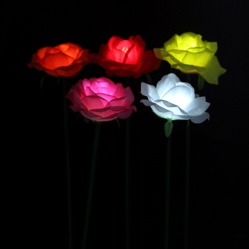 Outdoor Garden Rose Lights