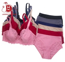 Hot Selling Push-Up Wearable Bra Set For Women - Daniel Lace Plus Size Bra Set All Year Round in South America