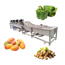 Automatic Fruit Washing, Waxing, and Drying Machine for Mangoes, Oranges, and Avocados