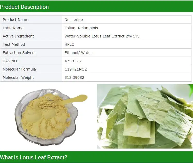 Lotus Leaf Extract Powder 1% 2% 5% 10% 50% 98% Nuciferine