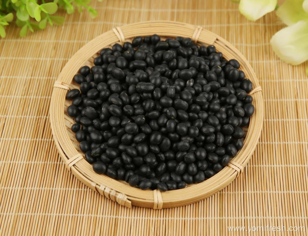 Black Beans Nutrition