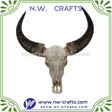 buffel schedel longhorn