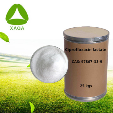 AntiMicrobial Ciprofloxacin Lactate Powder CAS 97867-33-9