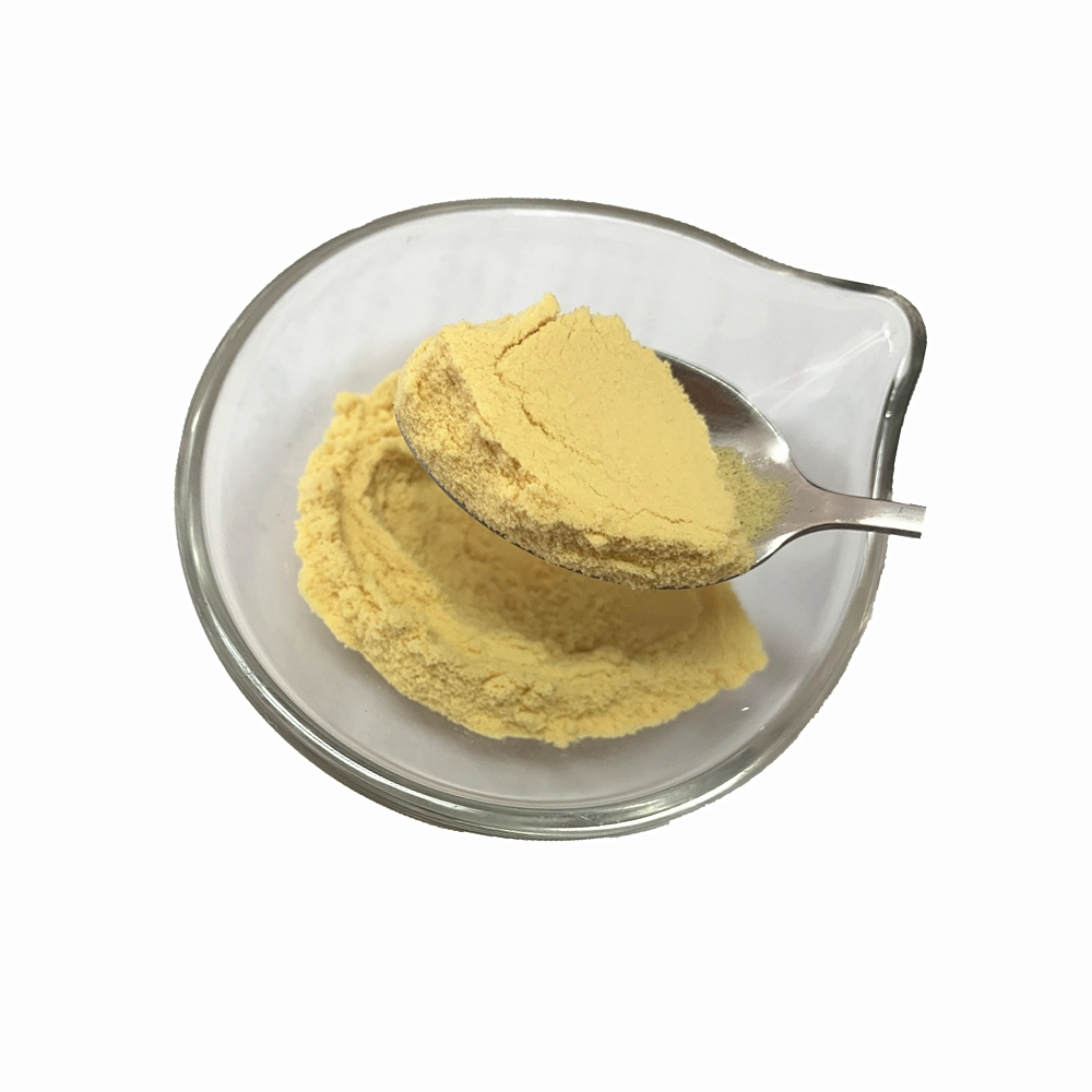 Pure Spray Dried Fruit Powder Juice Powder Passion Fruit Powder