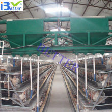 automatic feeding system