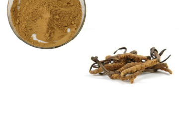 Price Cordycepin Cordyceps Sinensis Extract Powder