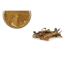 Price Cordycepin Cordyceps Sinensis Extract Powder