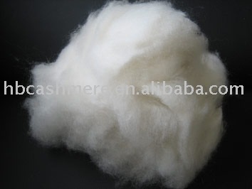white Cashmere fibre
