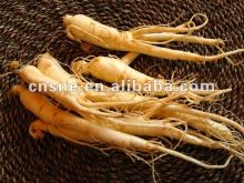 Ginseng Extract