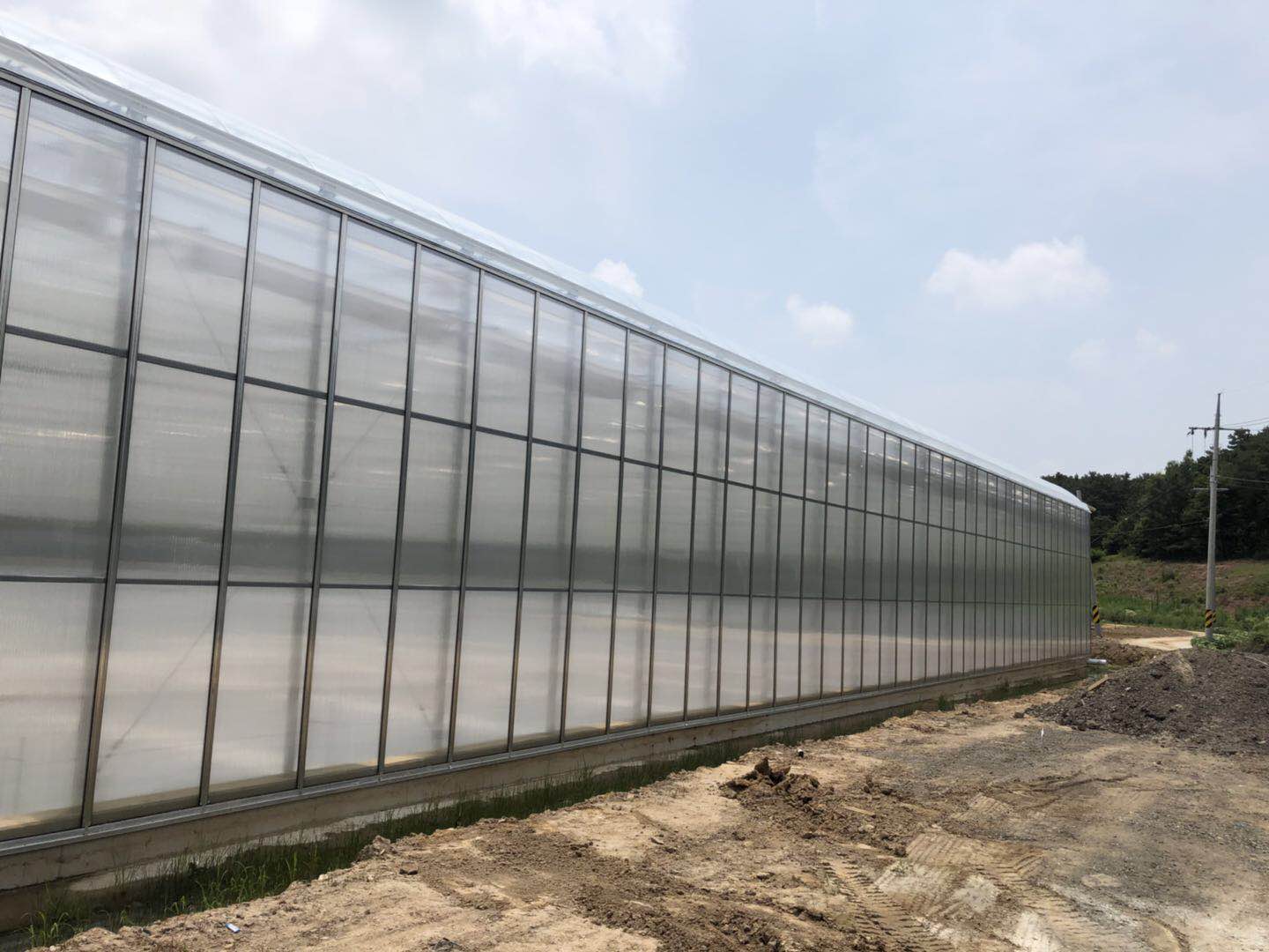 Free Spare Parts Greenhouse Fiberglass Panels Clear polycarbonate sheet