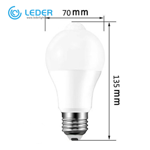 LEDER 6W Invented Light Bulb