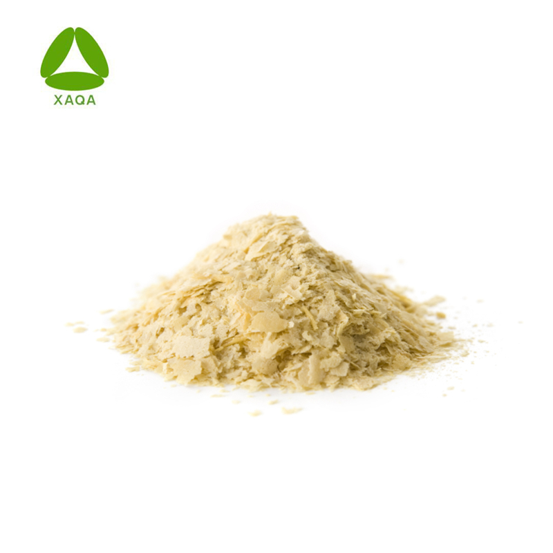 Nutrition yeast powder (2)