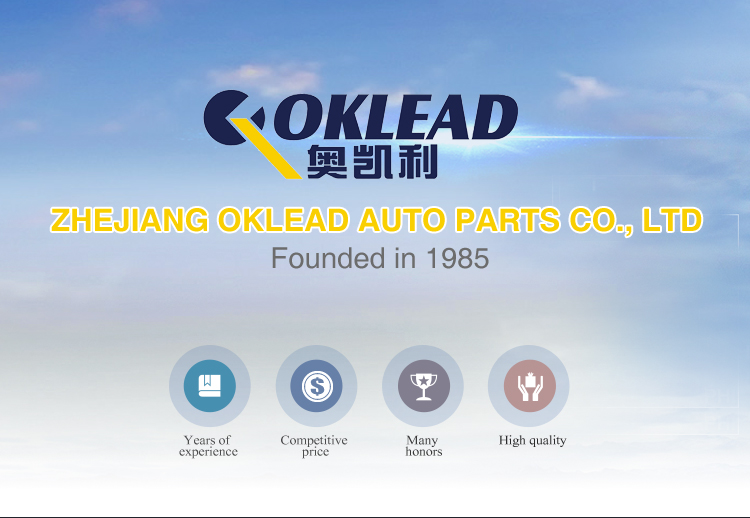 Multi-function steering lock