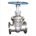 Corrosion Resistant Manual Gate Valve