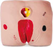 Decubitus Care Training Modell