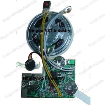 Recordable Sound Module Voice Module with Sound Recording
