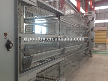 Automatic Chicken Poultry Equipment for Poultry Farm